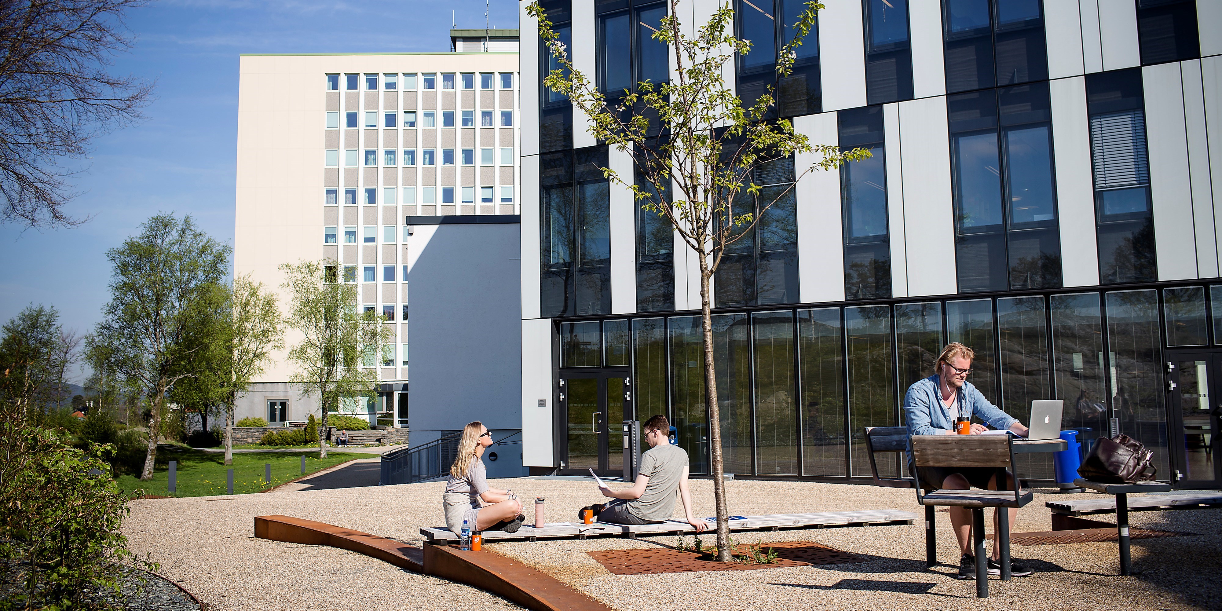 Bilde av hovedbygget på NHH