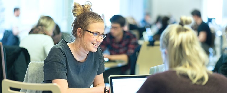 Studies startpage picture